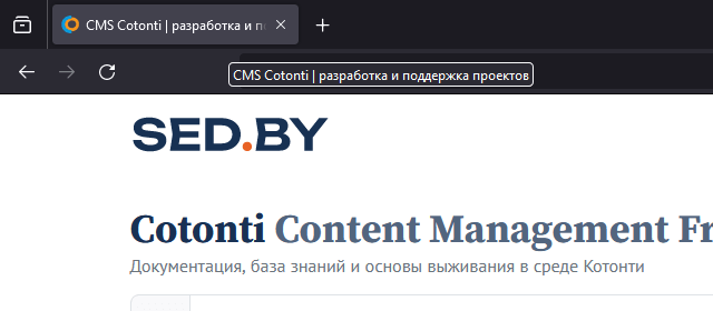 Вид meta title в заголовке вкладке браузера